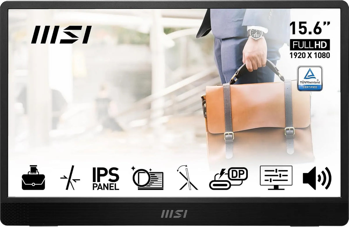 MSI Pro E2 Ecrã profissional 15.6' FHD MP161